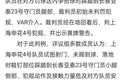 VAR判罚再引争议，皇马对阵AC米兰裁判判点引发巨大争议的简单介绍