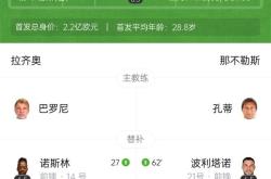 拉齐奥主场击败对手，积分榜排名攀升的简单介绍