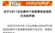 关于VAR判罚再引争议，泰山对阵曼城裁判判点引发巨大争议的信息