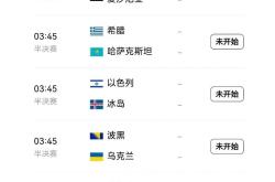 爱沙尼亚队无缘胜利，遗憾失利