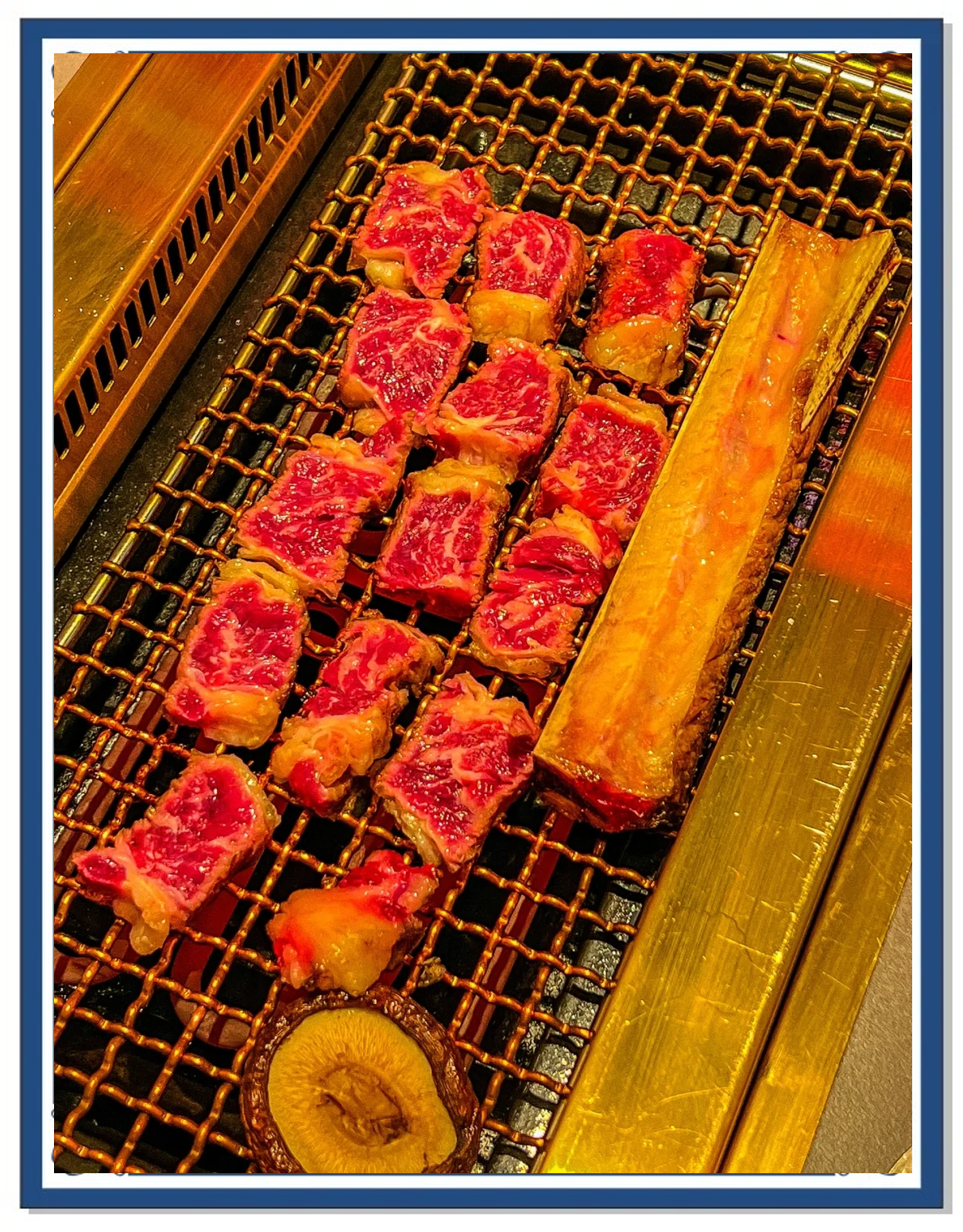 戈特：摩天战斗力强劲，必能取胜的简单介绍