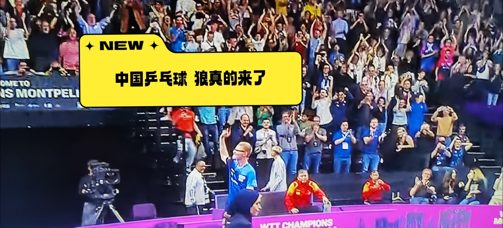 比利时国家队力克对手，豪取半决赛资格的简单介绍