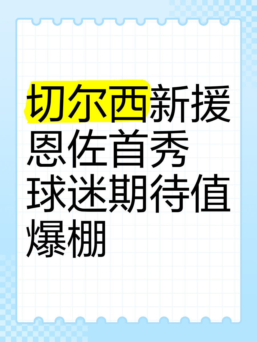 切尔西新援表现出色，球迷点赞的简单介绍