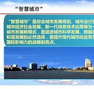 包含英达-彼得卡琴：智慧型城市的一体化解决方案的词条