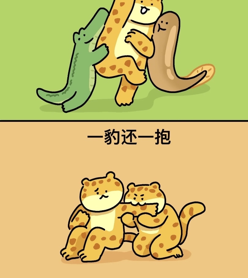 包含熊猫热情逆袭灰熊，和谐小加+的词条