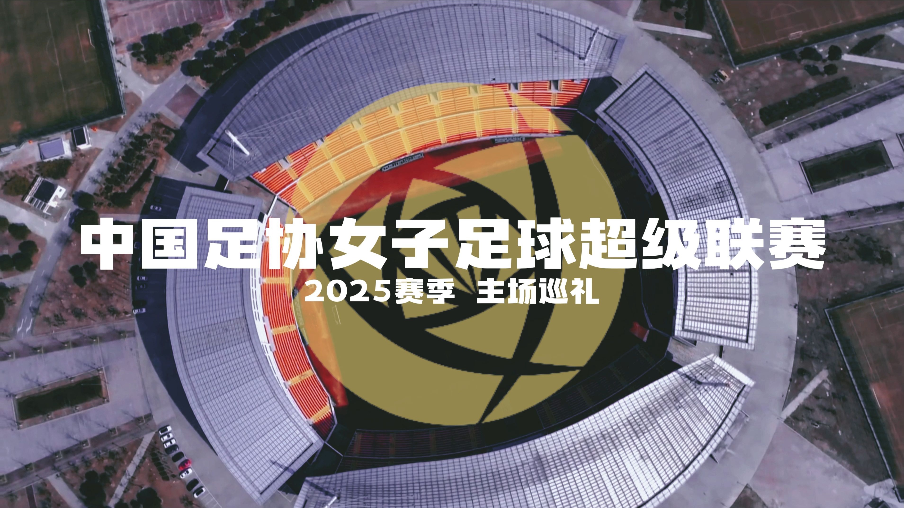 竞技场上逐梦：女足豪情万丈的简单介绍