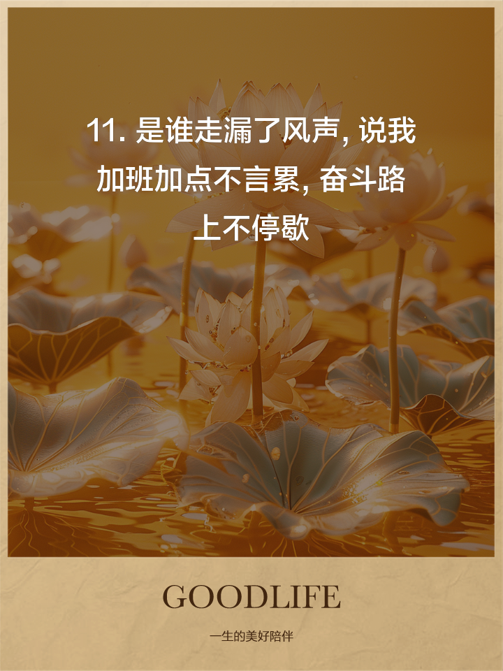 宾戈客战取分，前路漫长仍奋斗