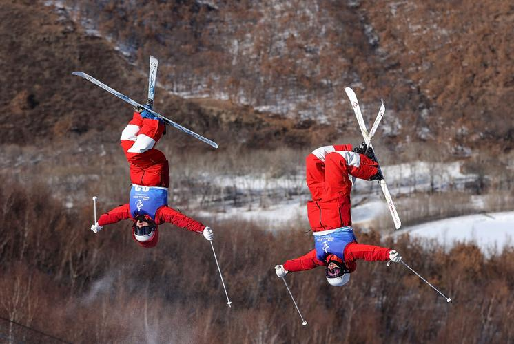 关于斯洛伐克自由式滑雪选手奋勇夺冠的信息