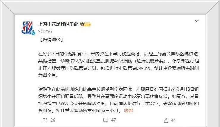 申花遭遇争议红牌，阿贾克斯乘势反超比分完成逆转的简单介绍